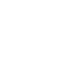 IHHE-brain_icon